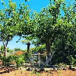 Villetta Castiglione 度假居 *