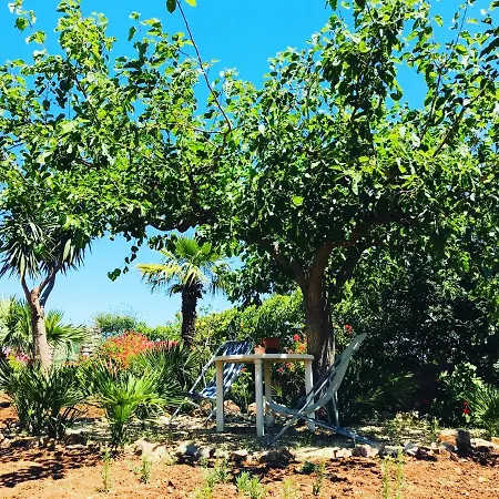 Villetta Castiglione Holiday home *